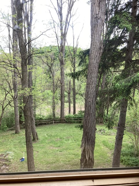 View from property