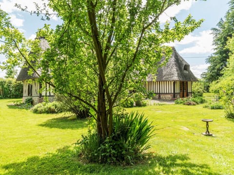 Plant, Sky, Green, Cloud, Tree, Natural Landscape, Land Lot, Grass, Shade, Grassland