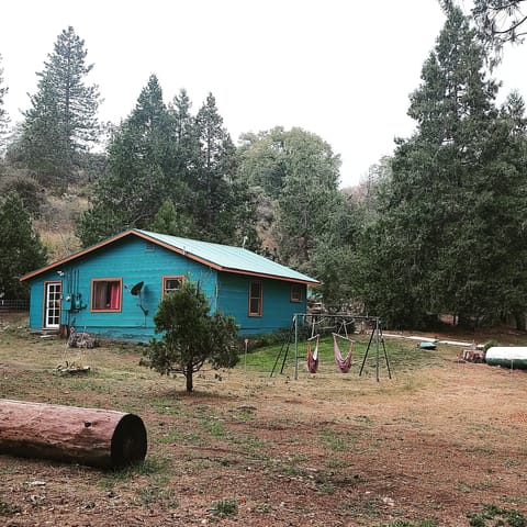Front yard