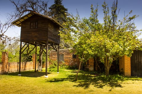 Casa del árbol en patio trasero 