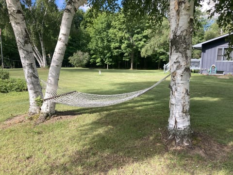 Hammock