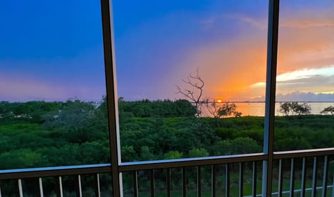 Amazing colors on the lanai as the sun slips below the clouds on the horizon.