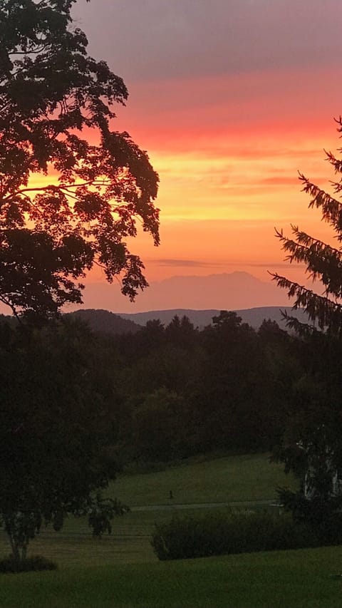 Recent beautiful sunset
