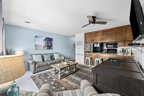 Living room with pullout sofa and a Murphy bed