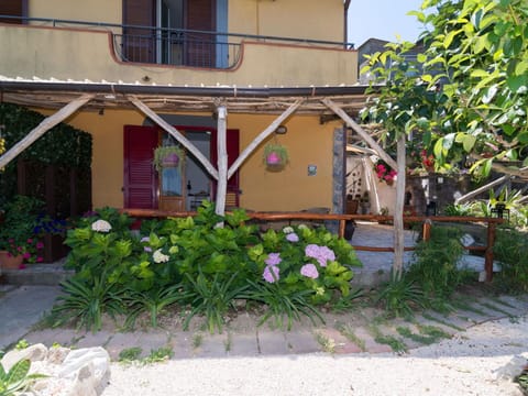 Plant, Flower, Window, Building, Neighbourhood, Grass, Residential Area, Real Estate, Facade, Groundcover