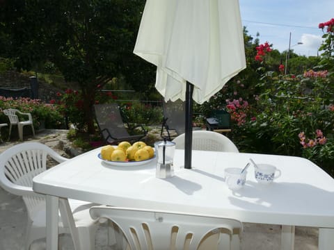 Plant, Table, Furniture, Property, Tableware, White, Chair, Tablecloth, Flower, Textile