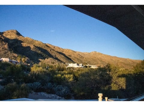 View from the upstairs loft