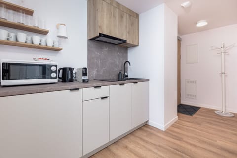 The sleek design of the kitchenette blending seamlessly with the living area.