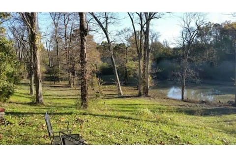 River bank in fall with river ups but