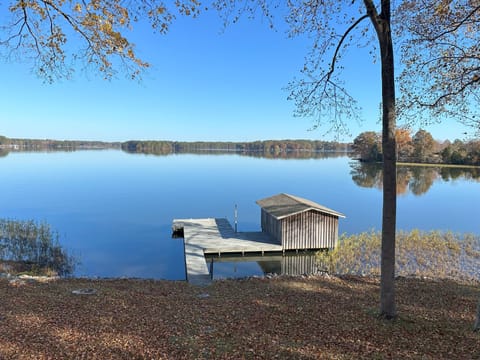 View from lower patio in early fall.