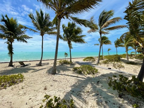 View of spectacular beach on property 