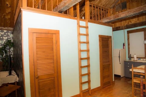 Ladder-Climb at your own risk. Not safe for small children.