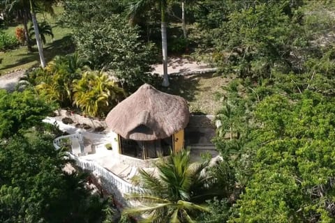 Waterfront Private Palapa Roofed Apartment
