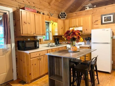 The kitchen has all the essentials for a nice cabin experience