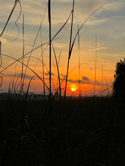 Beautiful Sunsets 