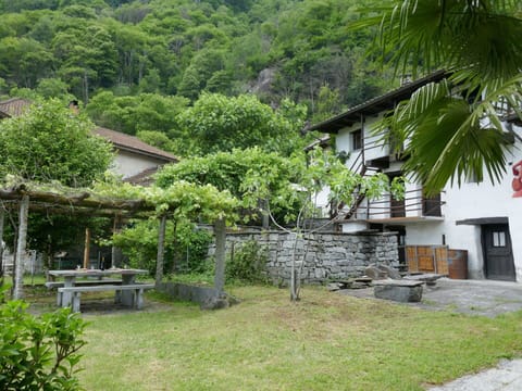 Plant, Property, Building, Window, Tree, Vegetation, Land Lot, Grass, Biome, Cottage