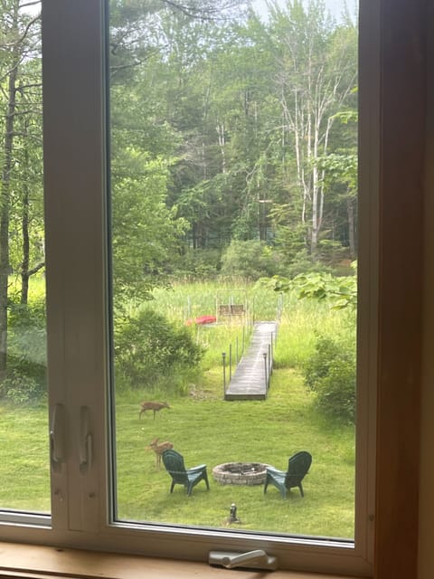 Back Yard. Narrow channel behind house (perfect for kayaks)