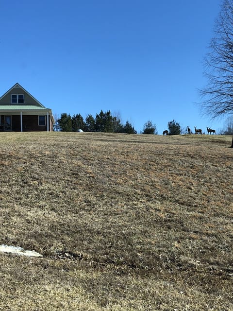 If you are a hunter, zoom in and look closely in the upper right!