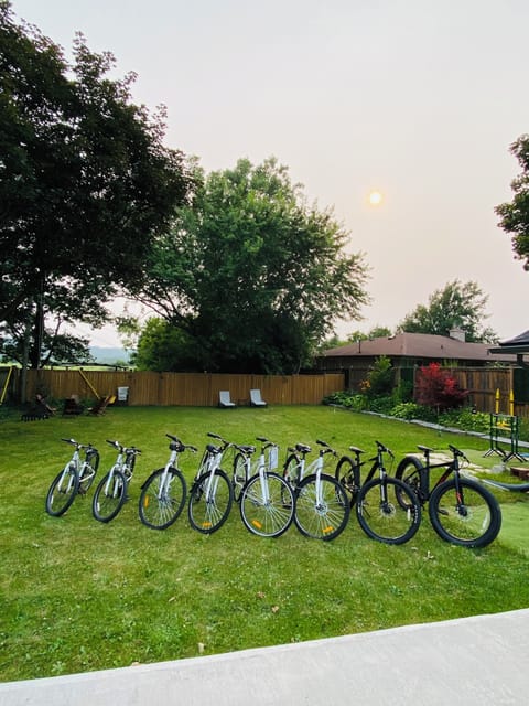 8 pcs brand new complimentary bicycles. They’re provided based on request!
