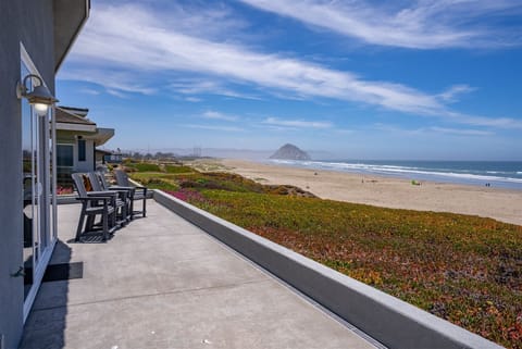 Sit with loved ones and enjoy the sunset over the Morro Rock.