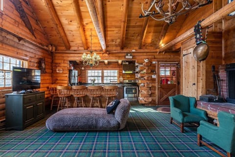 main level living room and kitchen 