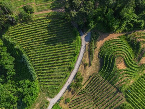 Le Case Del Grillo - Il Castagno By Tuscanhouses