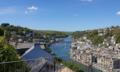 Birds Eye views from the rear deck and garden of the apartment