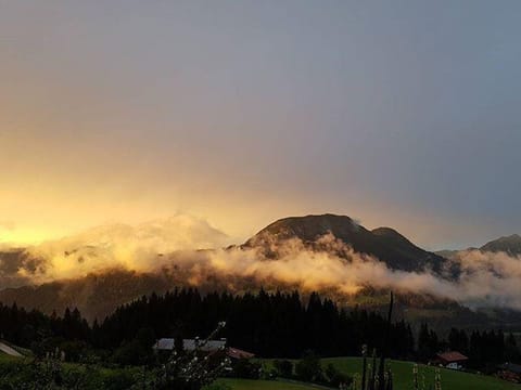 Geelink's Berghütte - apartment/apartment, shower, WC, 2 bedrooms Apartment in Salzburgerland