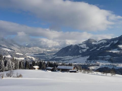 Geelink's Berghütte - apartment/apartment, shower, WC, 2 bedrooms Apartment in Salzburgerland