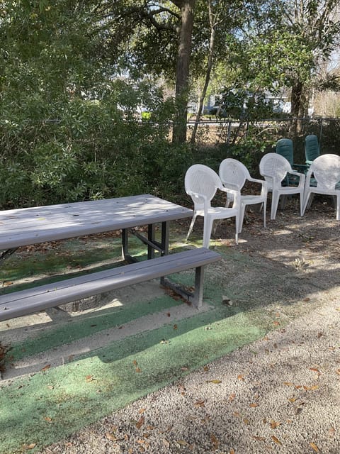Fenced backyard with shade tree