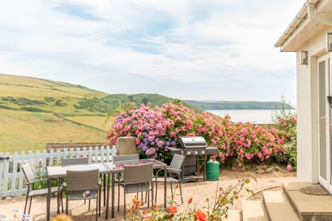 Terrace / Patio