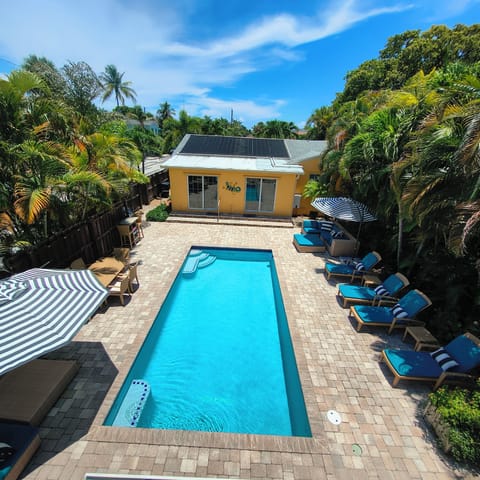 Large solar heated saltwater pool with luxury patio furniture.