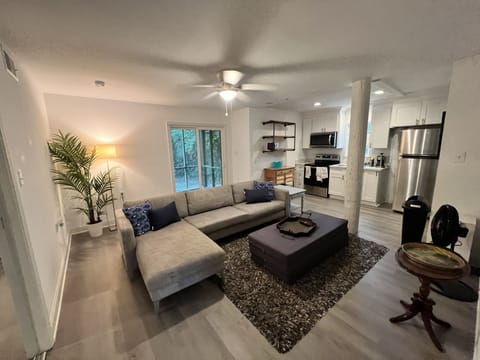 Downstairs Apartment Living Area and Kitchen with back porch/screened porch
