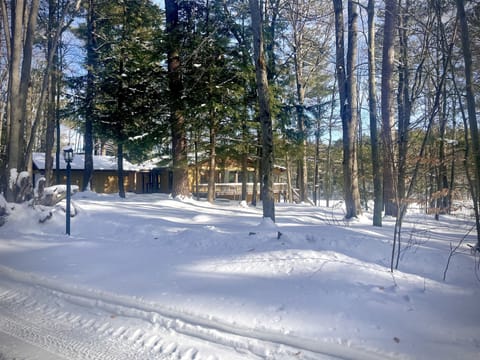 Winter view from driveway.  Louie’s pond to right of home.