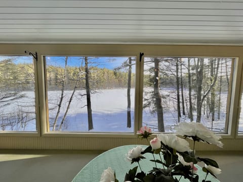 Panoramic view of Lake Louie in winter from 3-season porch. 