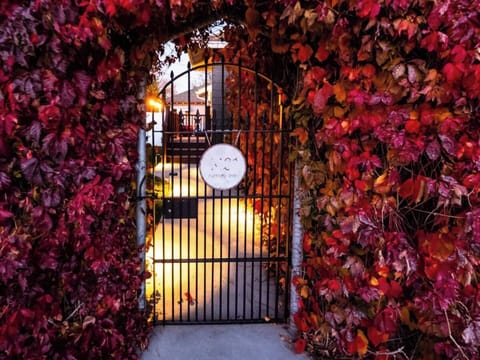 The ivy-enclosed backyard provides a haven of privacy right in the heart of downtown Cody!