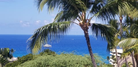 View from Lani/living room