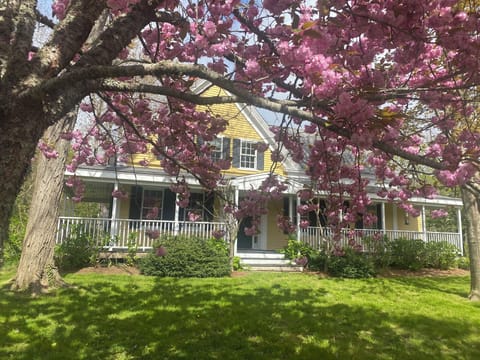 Front of Ambergris Gables through the cherry trees