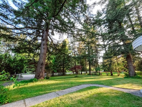 The house is surrounded by forest and you'll have lots of private land to enjoy