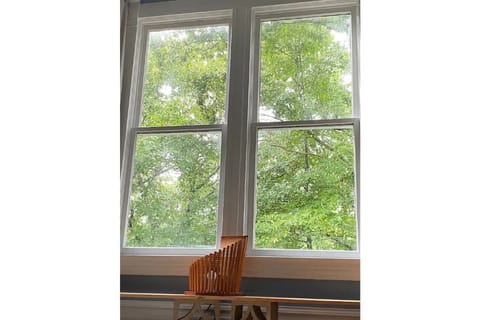 Trees and the occasional squirrels out the giant windows high in the oak canopy.