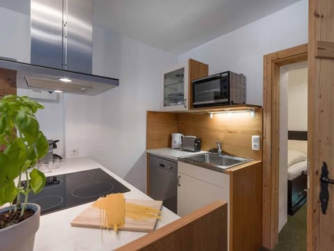 Appartement 2 Personen EG - Alpenresidenz Fieberbrunn Apartment in Salzburgerland