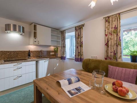 Appartement 1 EG - Alpenresidenz Fieberbrunn Apartment in Salzburgerland