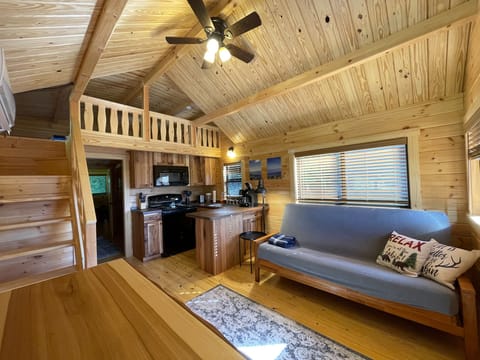 Living Area - Living room with 1 futon