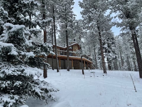 Winter view of back deck. Kids like to sled down the hill-but watch for trees!