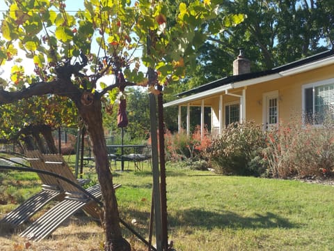 A beautiful native flower garden and vineyard for your front yard!