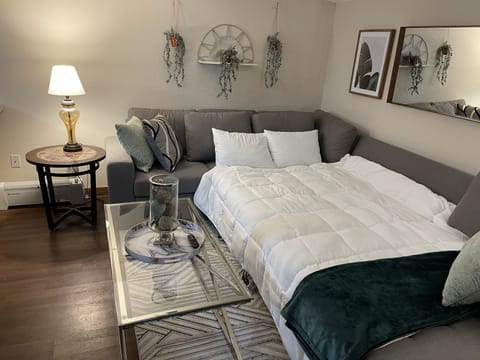 View of let out couch bed in living room