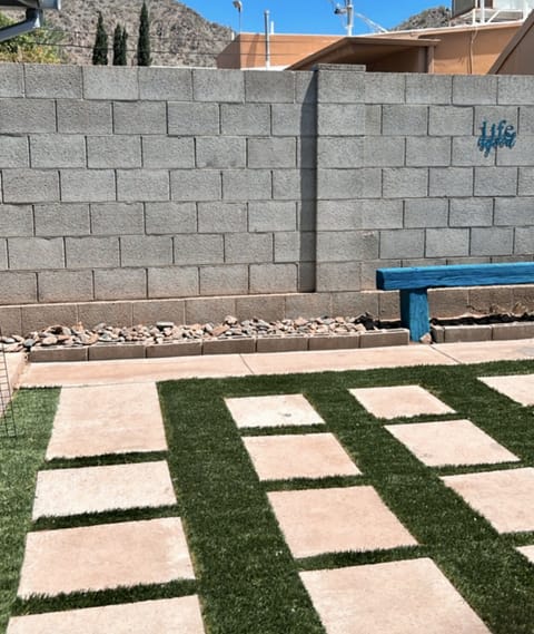 Backyard vibes