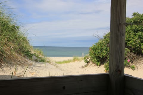 view from back porch 