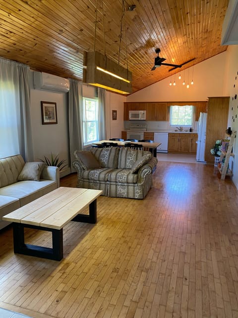 Living room/Kitchen