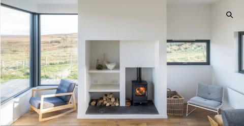 Living room with fire 